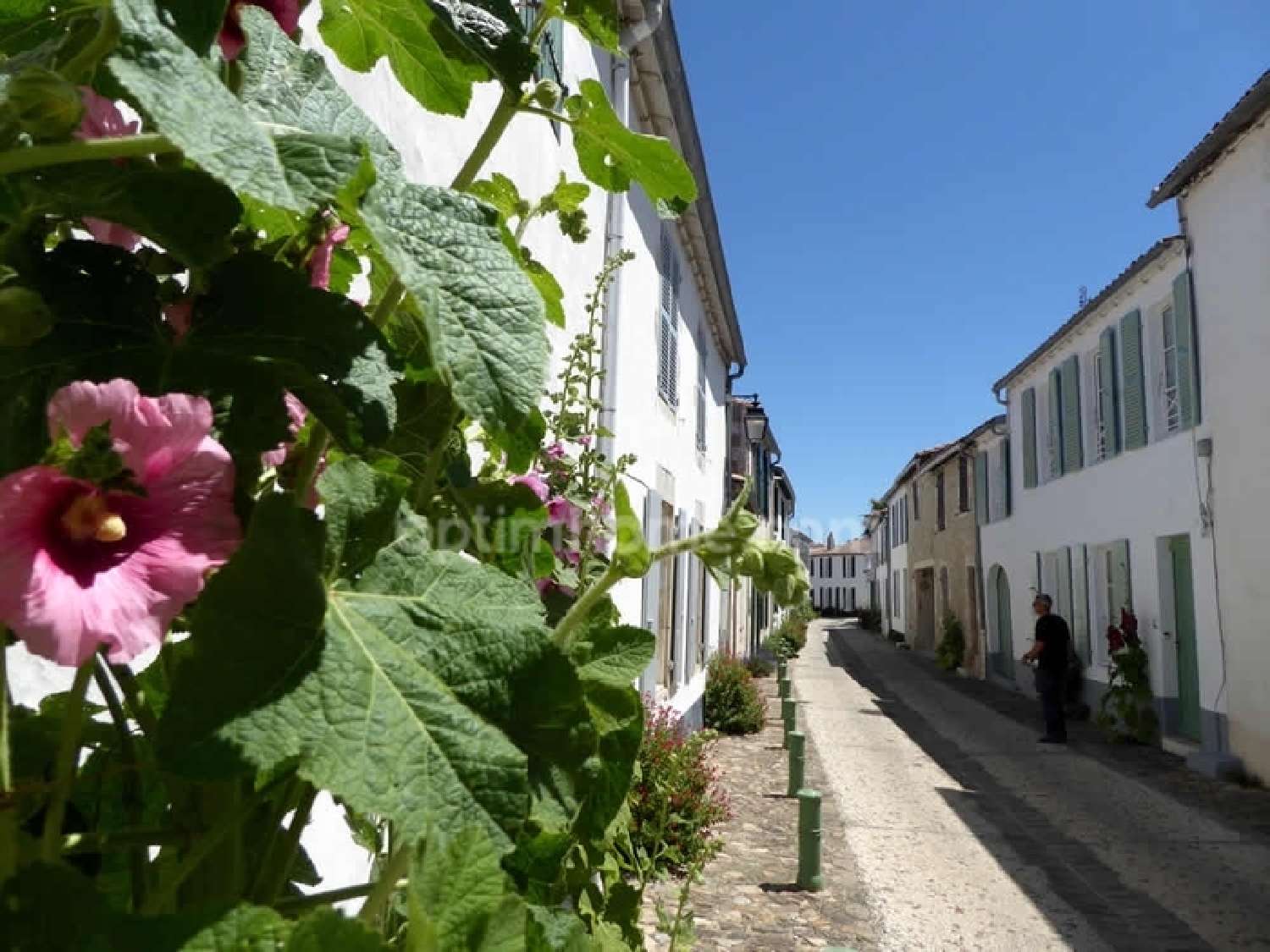  te koop appartement La Flotte Charente-Maritime 1
