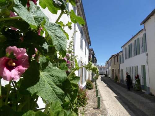La Flotte Charente-Maritime appartement foto 7159942