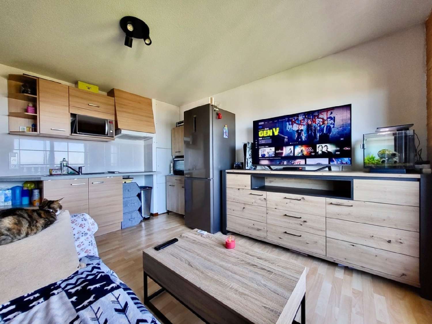  te koop appartement Larringes Haute-Savoie 3