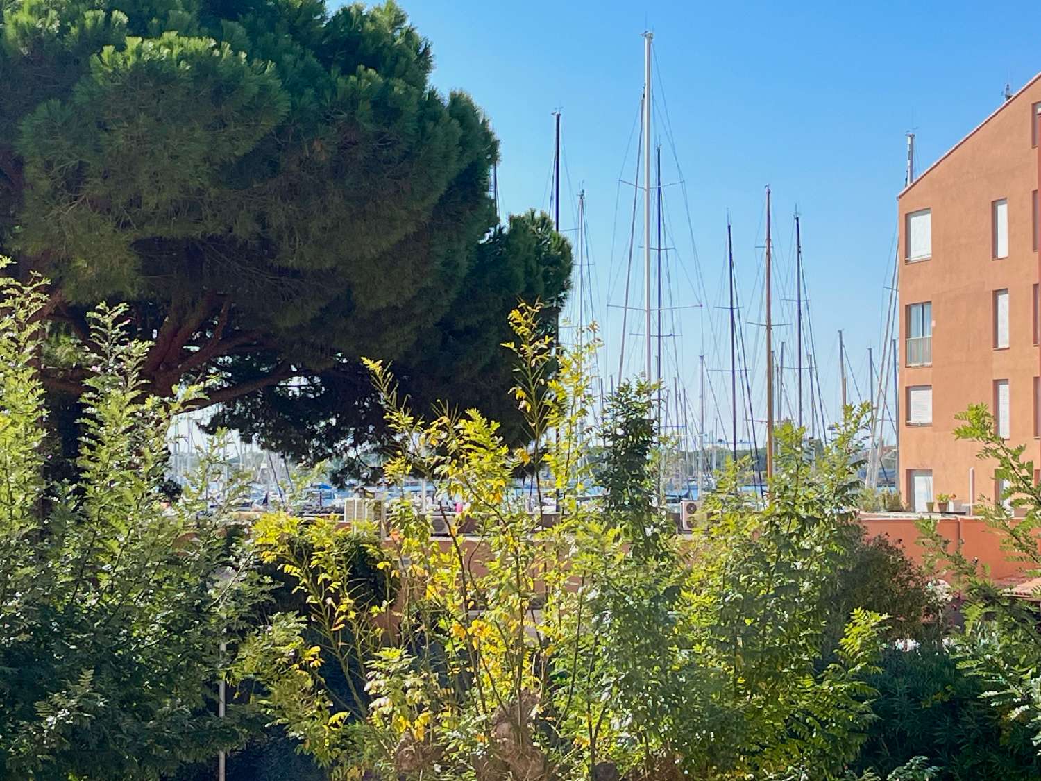  te koop appartement Le Cap d'Agde Hérault 2