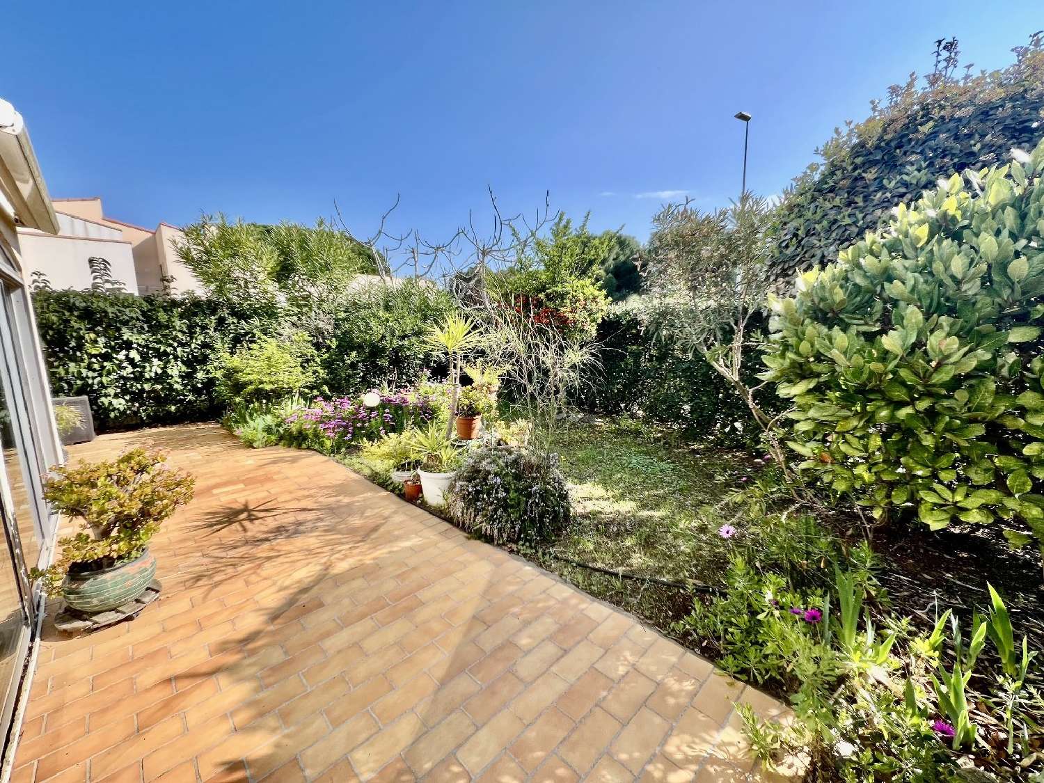  for sale apartment Le Cap d'Agde Hérault 1