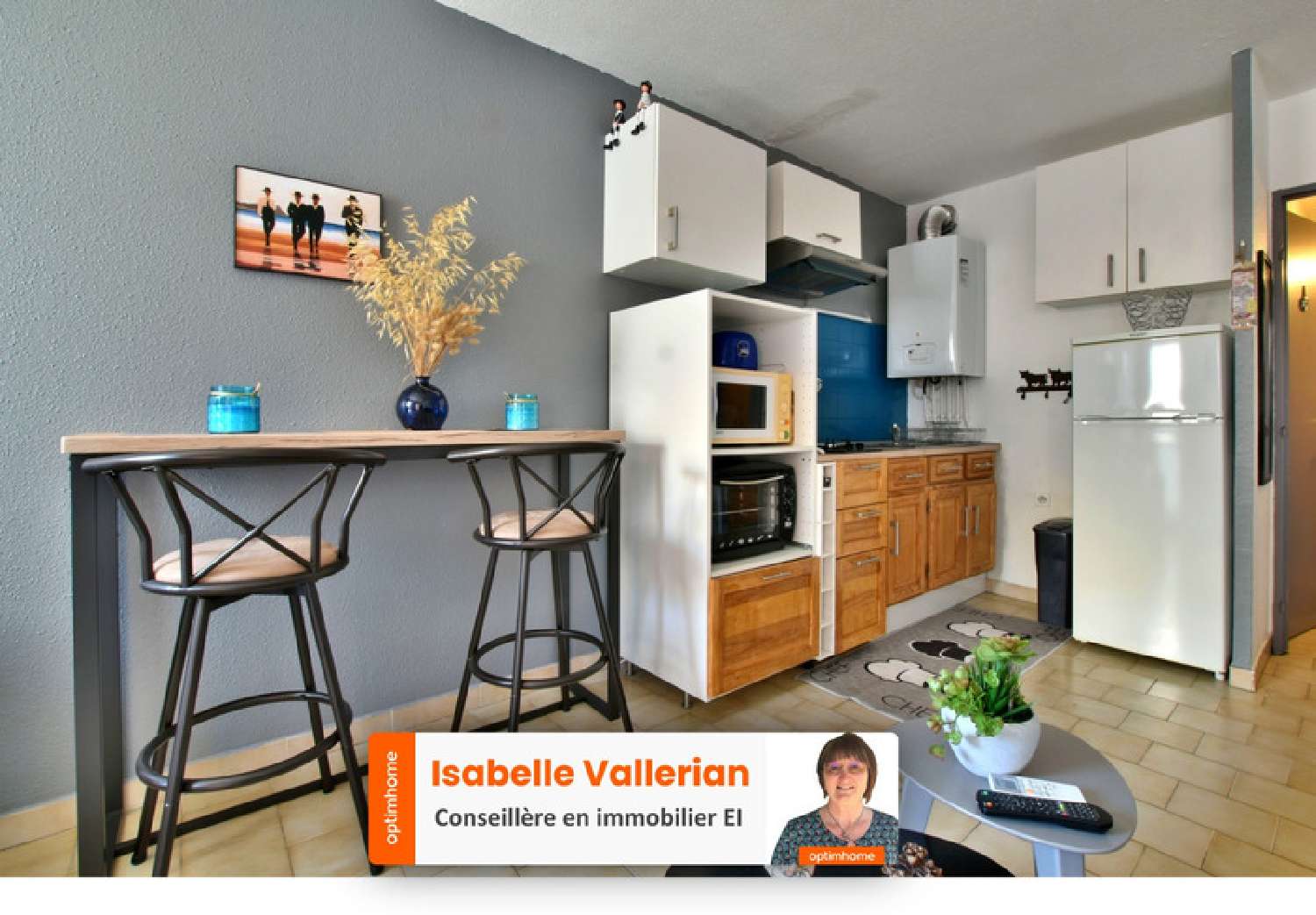 kaufen Wohnung/ Apartment Le Grau-du-Roi Gard 1