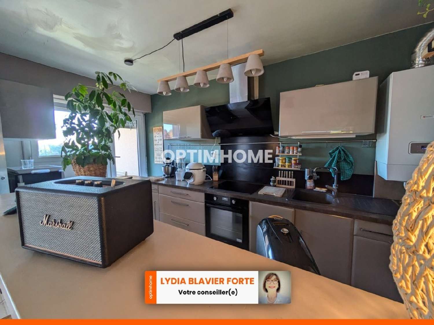 te koop appartement Limoges 87100 Haute-Vienne 6