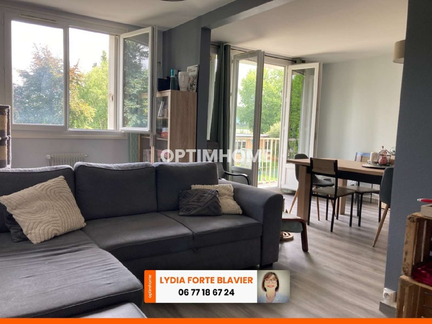 te koop appartement Limoges Haute-Vienne 1