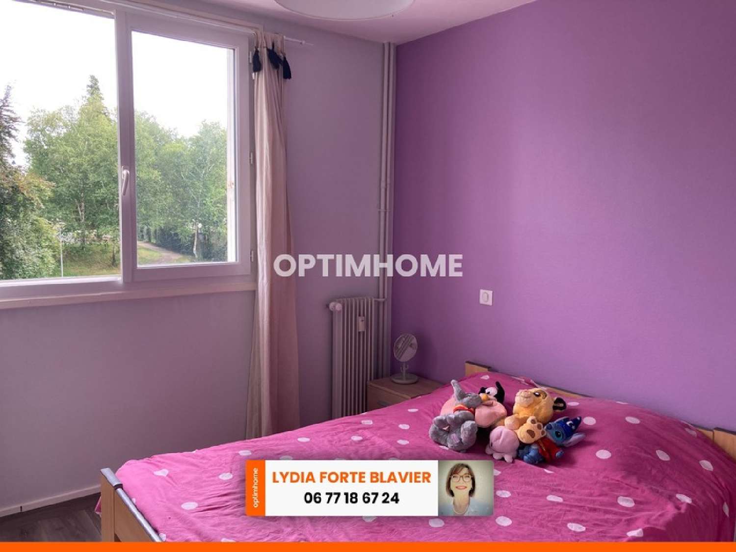 te koop appartement Limoges Haute-Vienne 8