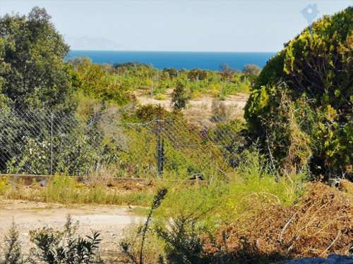 Linguizzetta Haute-Corse appartement foto 7156059