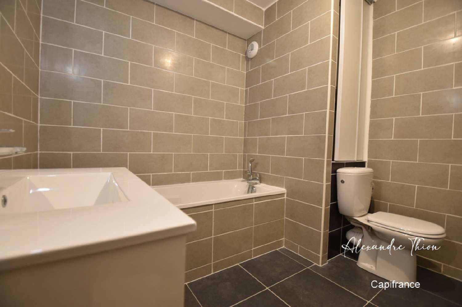 te koop appartement Meximieux Ain 8