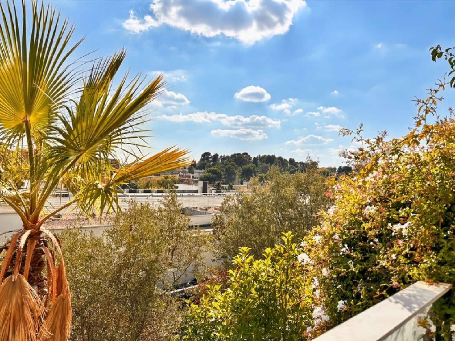  kaufen Wohnung/ Apartment Montpellier 34090 Hérault 5