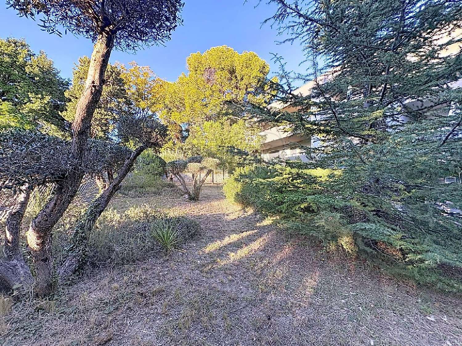  à vendre appartement Montpellier 34070 Hérault 7