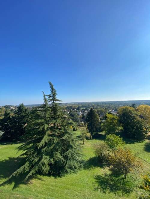 Montrichard Loir-et-Cher appartement foto 7166848