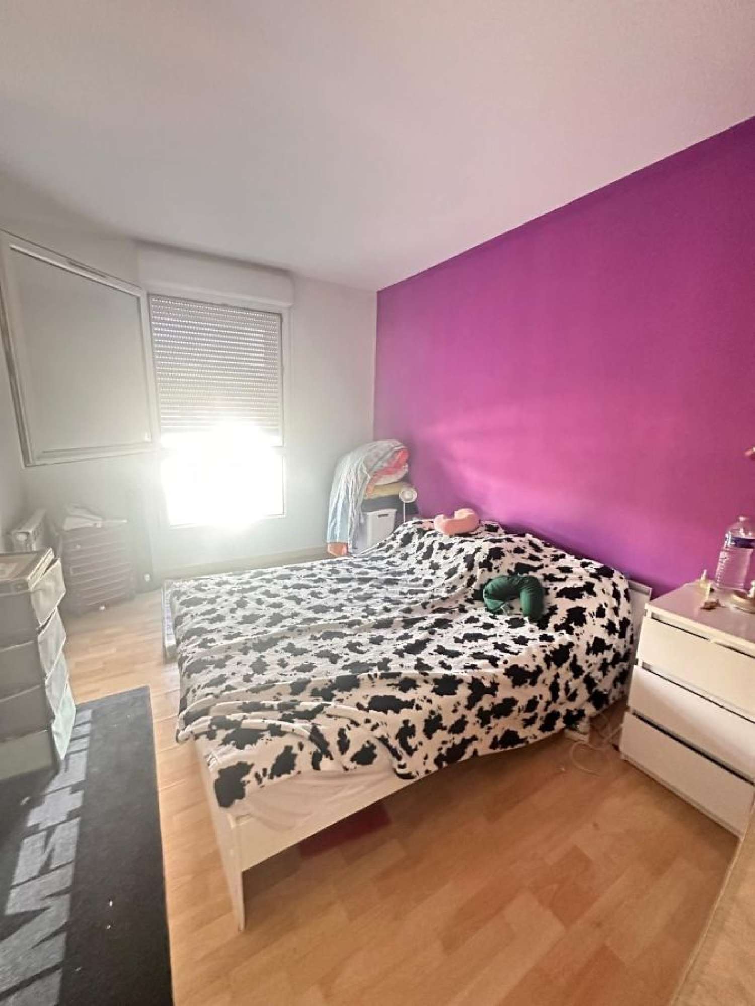  te koop appartement Noiseau Val-de-Marne 4