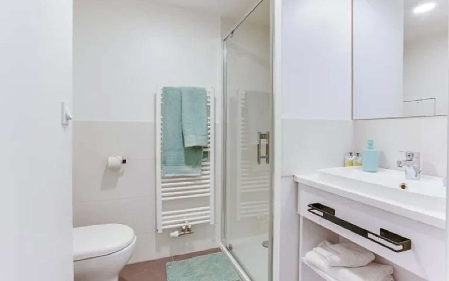 à vendre appartement Palaiseau Essonne 3