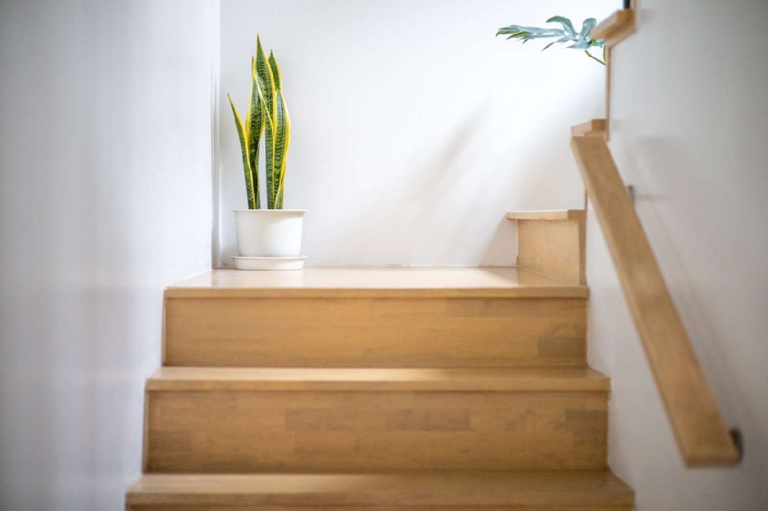  te koop appartement Paris 20e Arrondissement Parijs (Seine) 4