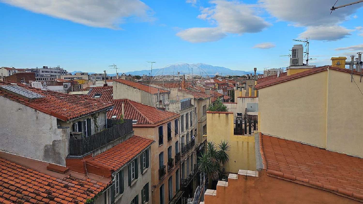  te koop appartement Perpignan Pyrénées-Orientales 3