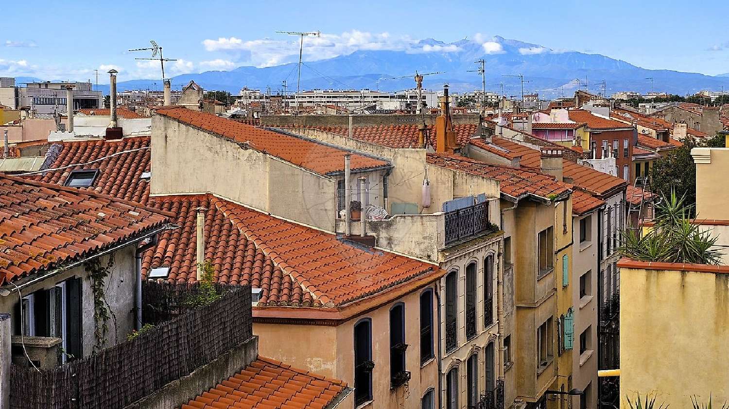  te koop appartement Perpignan Pyrénées-Orientales 4