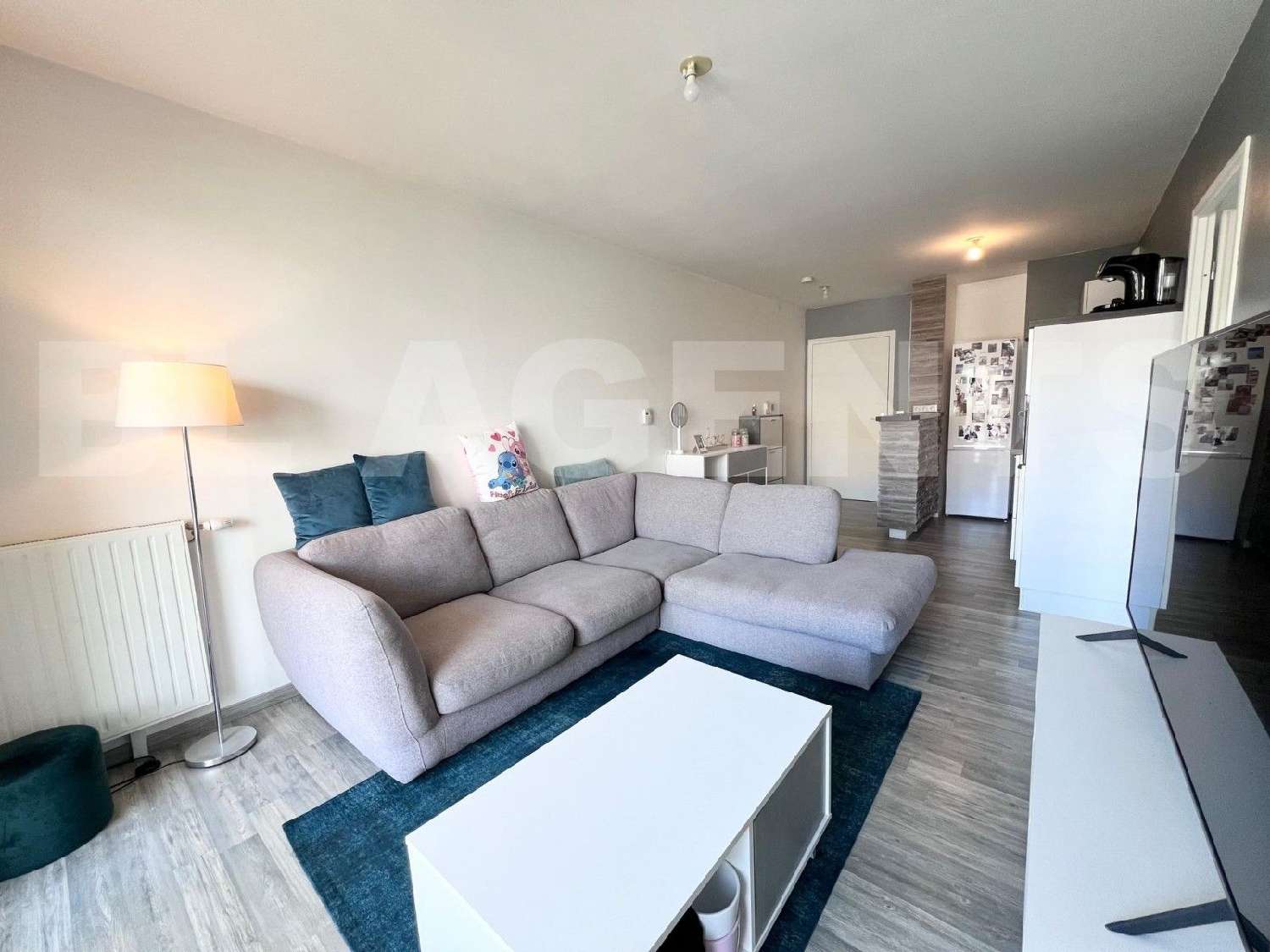  te koop appartement Saint-Sauveur-lès-Bray Seine-et-Marne 1