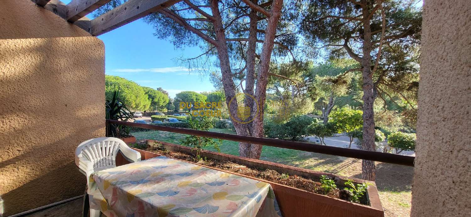  for sale apartment Saint-Cyprien Pyrénées-Orientales 1