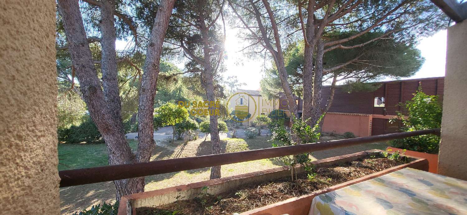  for sale apartment Saint-Cyprien Pyrénées-Orientales 2