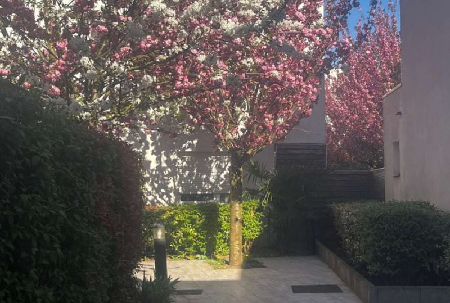  te koop appartement Saint-Denis Seine-Saint-Denis 1