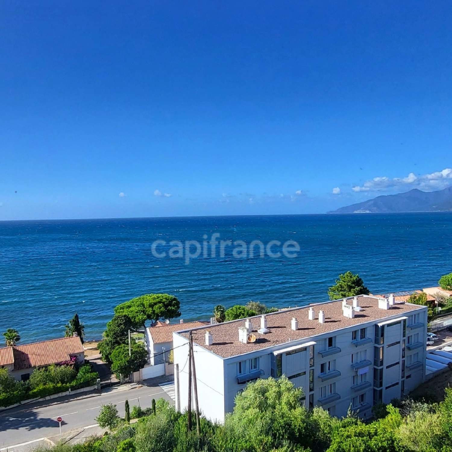  for sale apartment Saint-Florent Haute-Corse 1