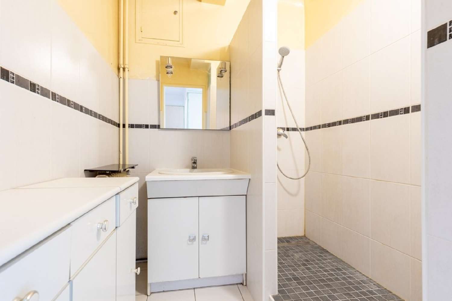 te koop appartement Saint-Maur-des-Fossés Val-de-Marne 4