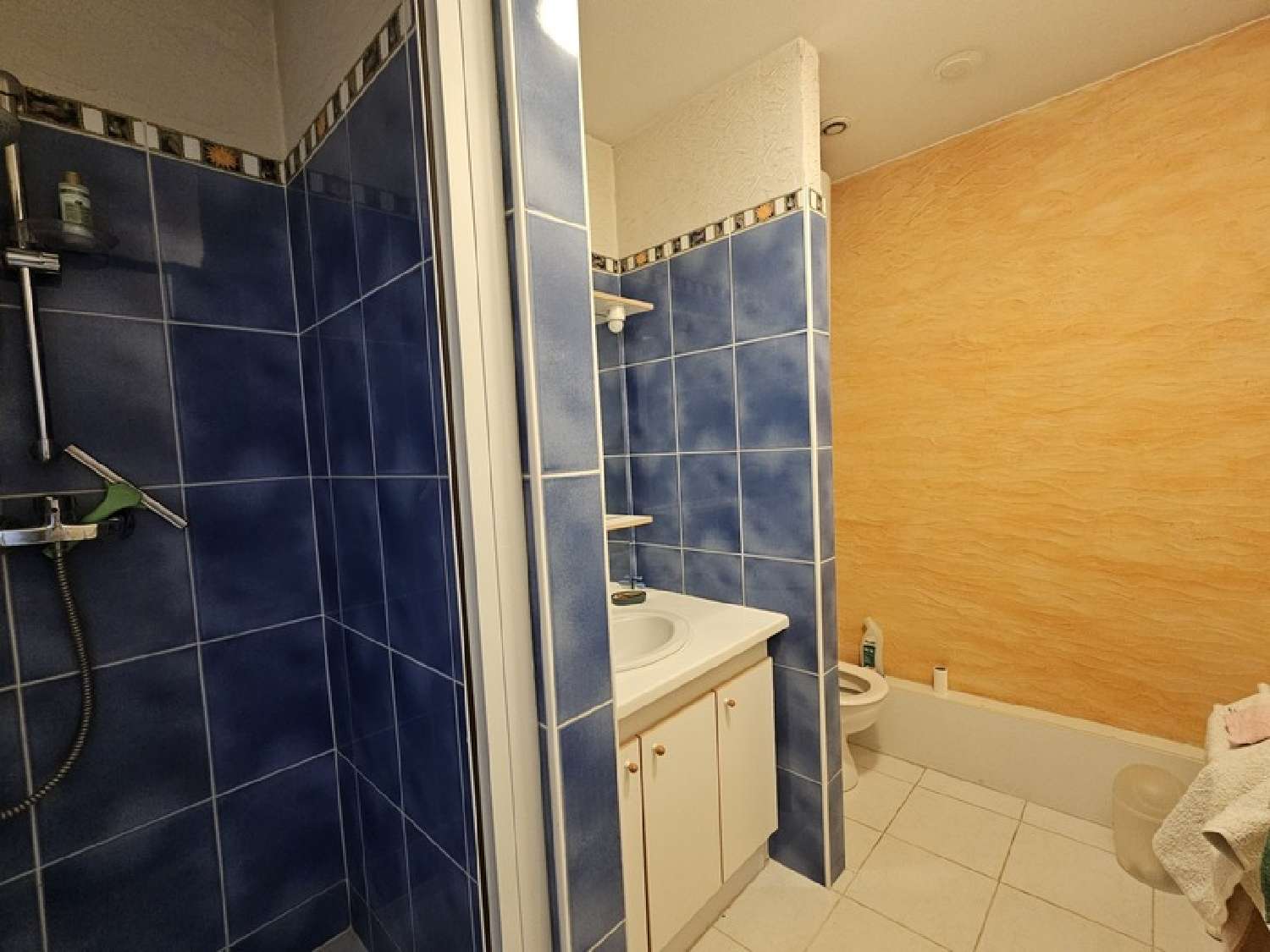  en venta apartamento Saint-Rémy Saône-et-Loire 7