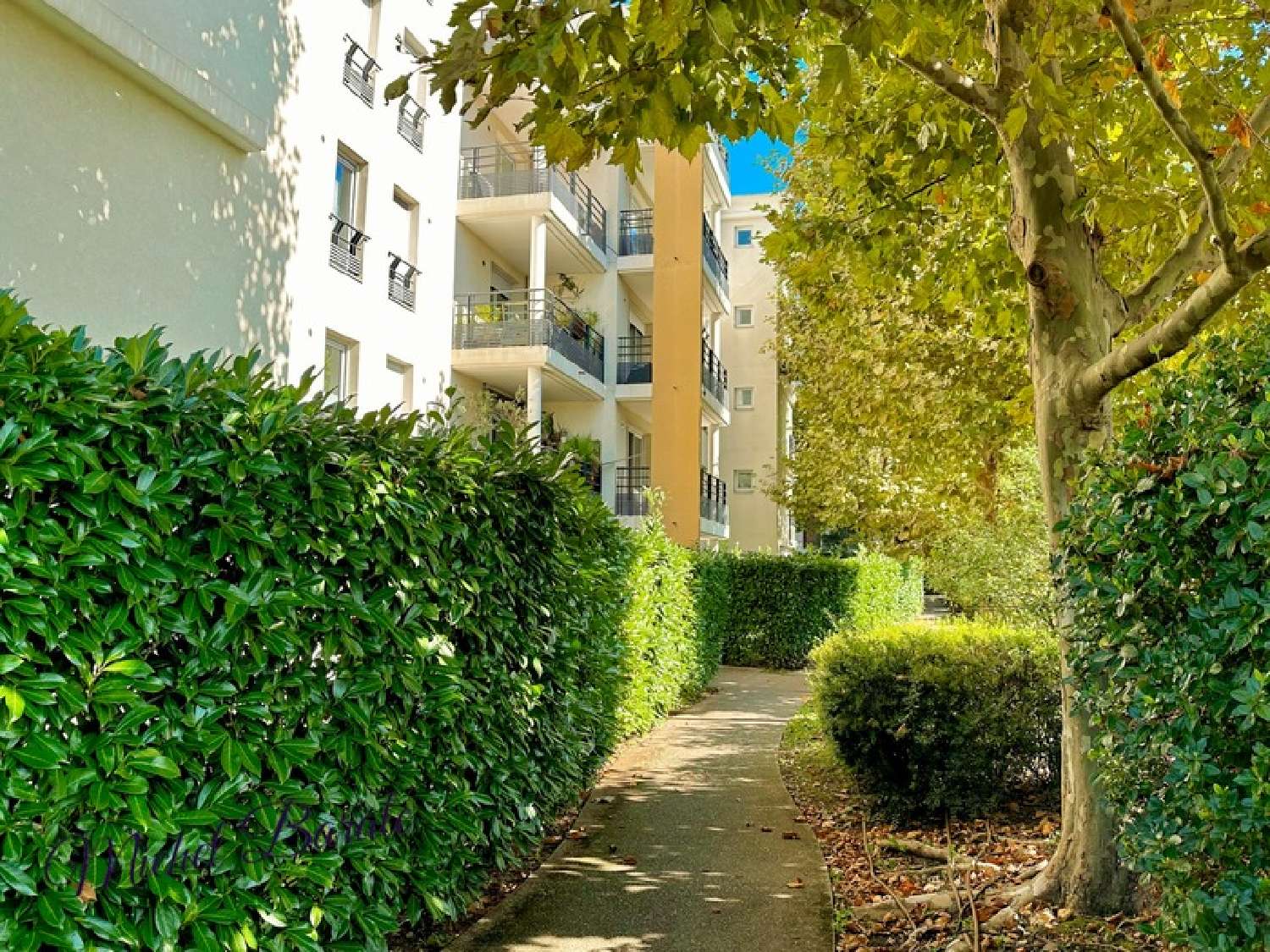  for sale apartment Tassin-la-Demi-Lune Rhône 4