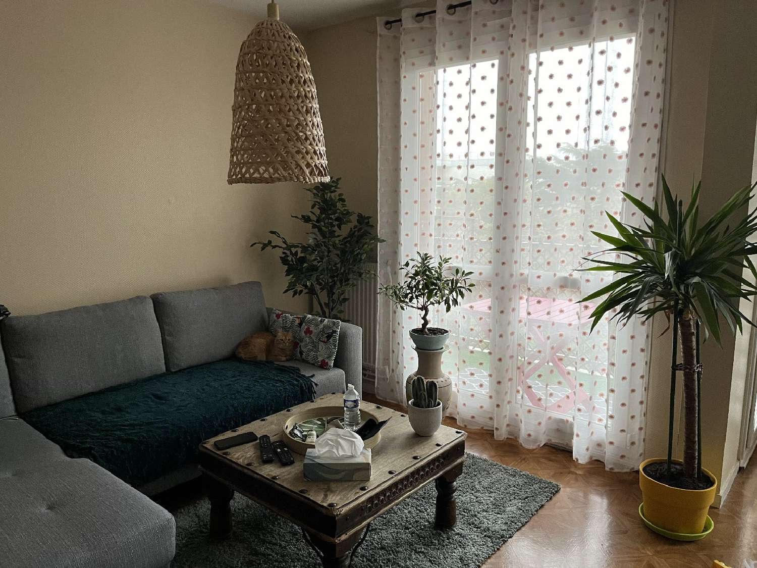 te koop appartement Toulouse 31300 Haute-Garonne 4