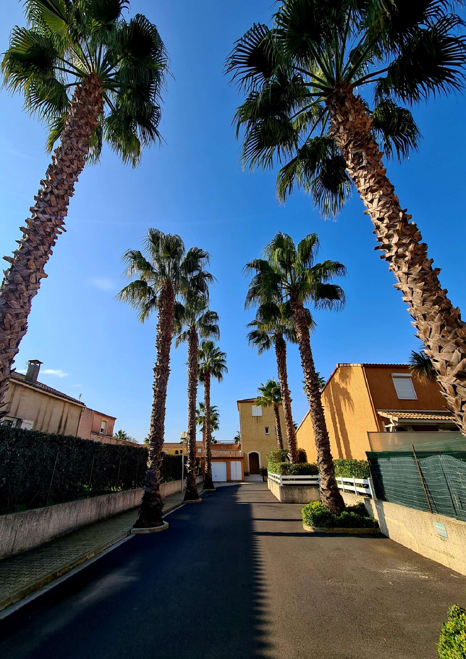 for sale apartment Valras-Plage Hérault 3