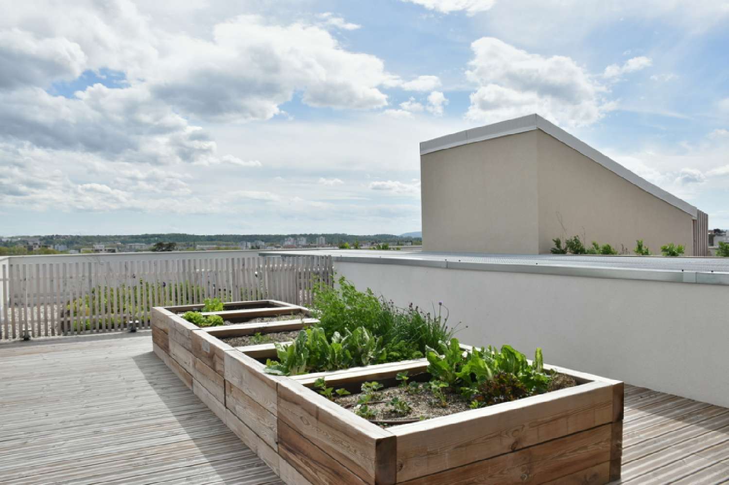  for sale apartment Villefranche-sur-Saône Rhône 6