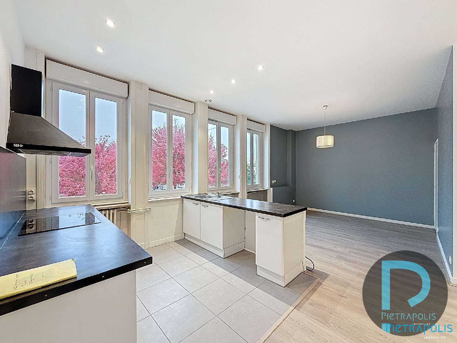  for sale apartment Villefranche-sur-Saône Rhône 1