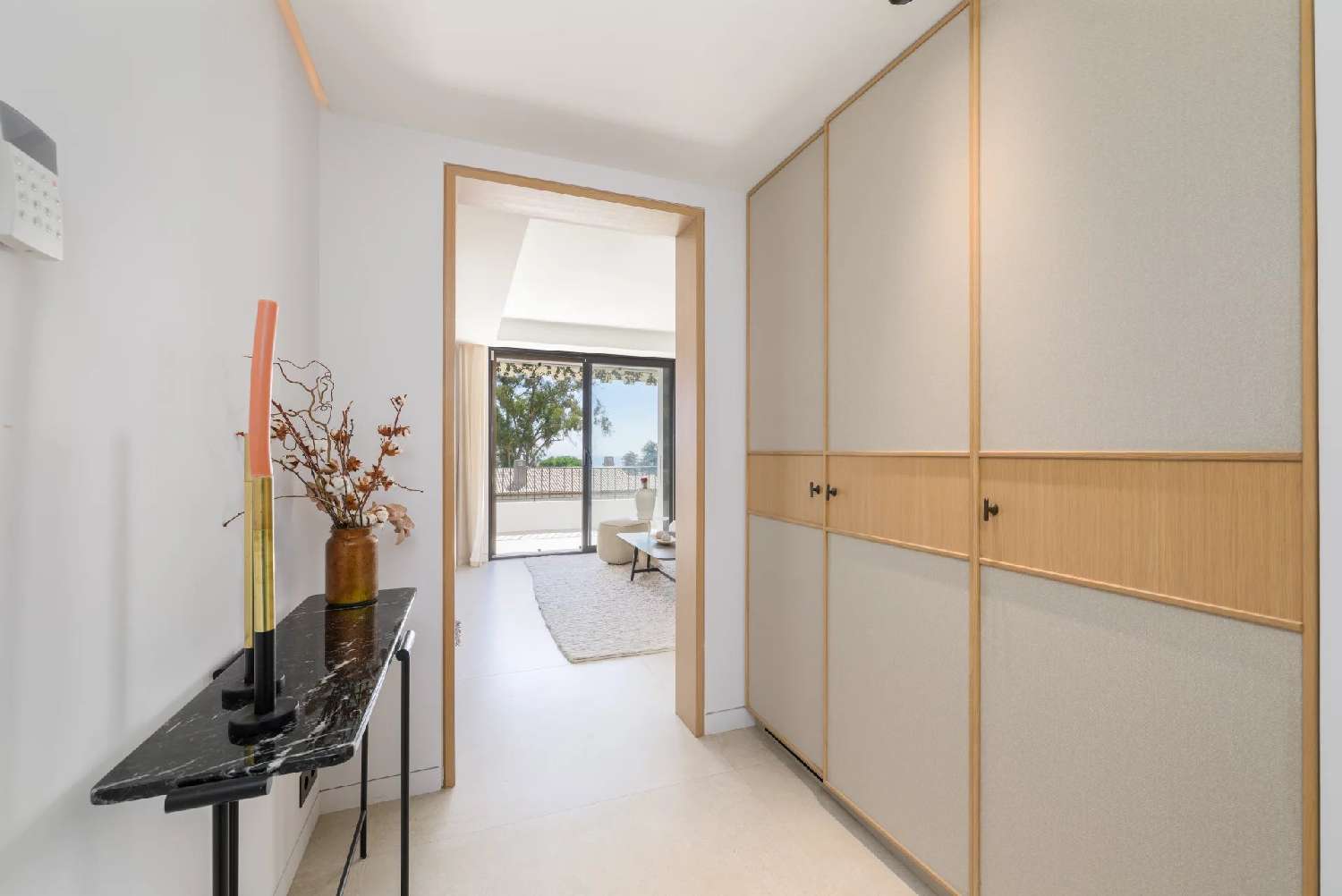  à vendre appartement Villeneuve-Loubet Alpes-Maritimes 3