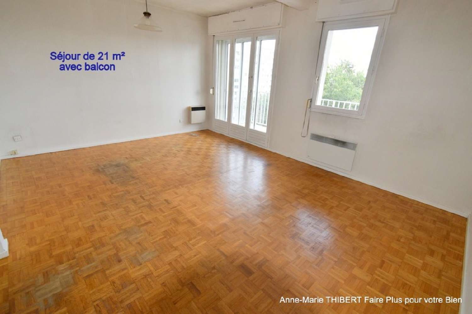  te koop appartement Villeurbanne Rhône 2