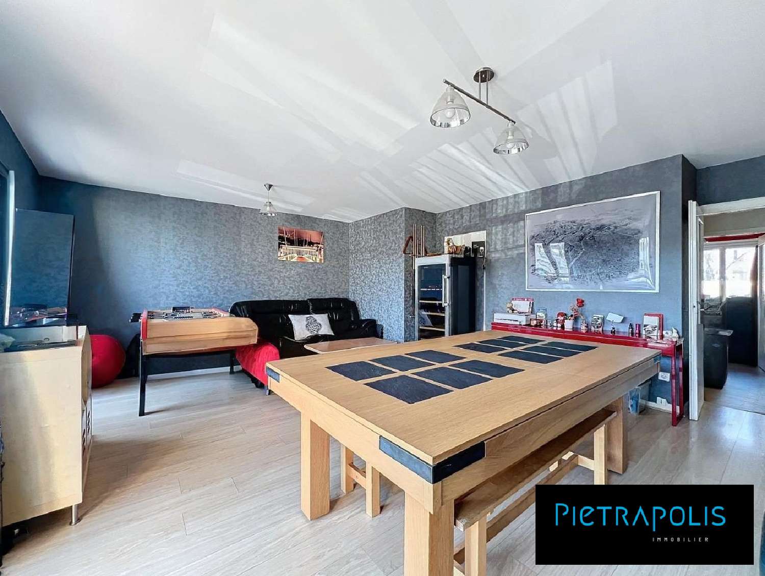  te koop appartement Villeurbanne Rhône 4