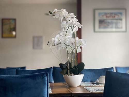 Royan Charente-Maritime bar café foto 7147428