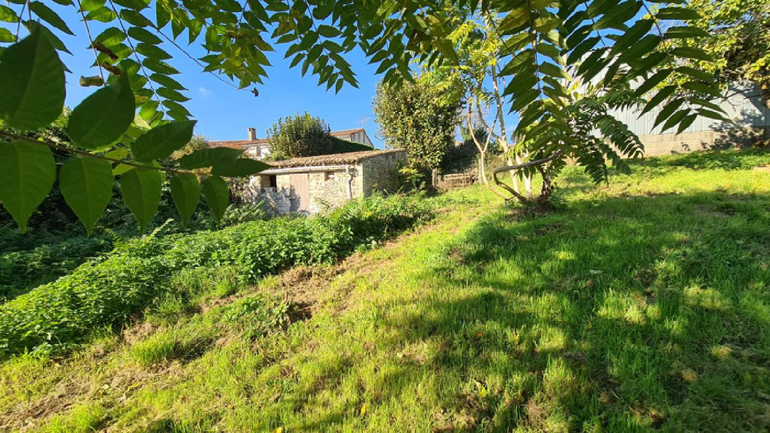  for sale barn Échiré Deux-Sèvres 1