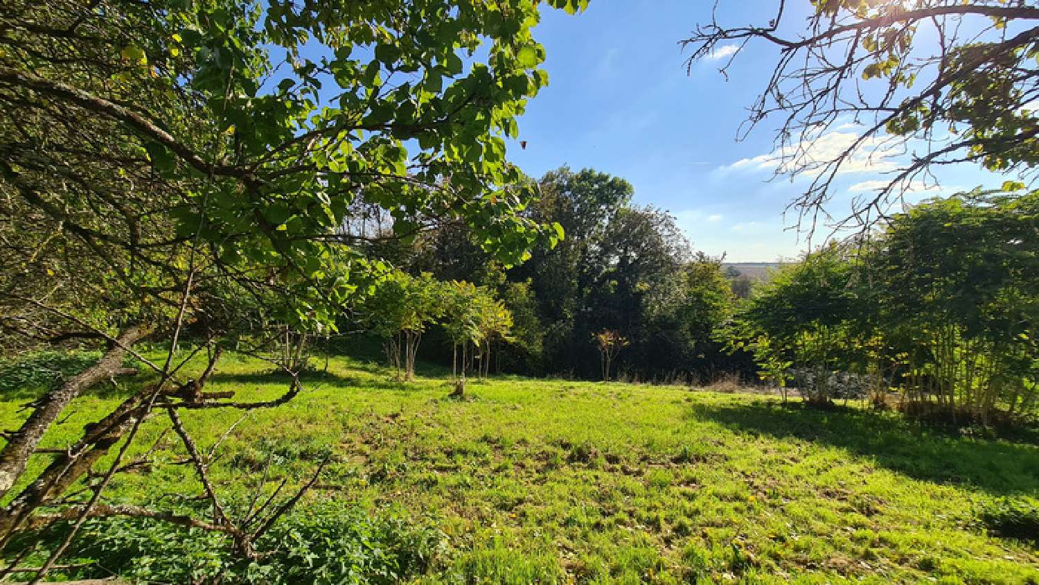  for sale barn Échiré Deux-Sèvres 3