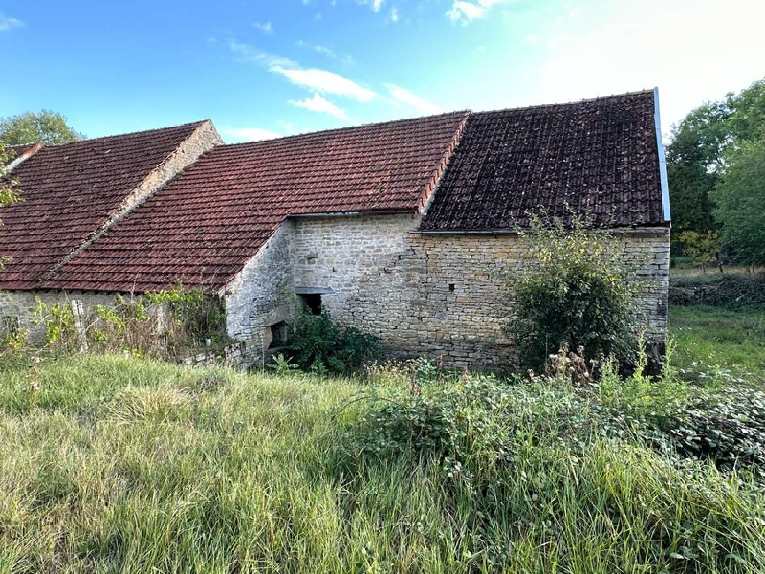  te koop schuur Pouilly-en-Auxois Côte-d'Or 4