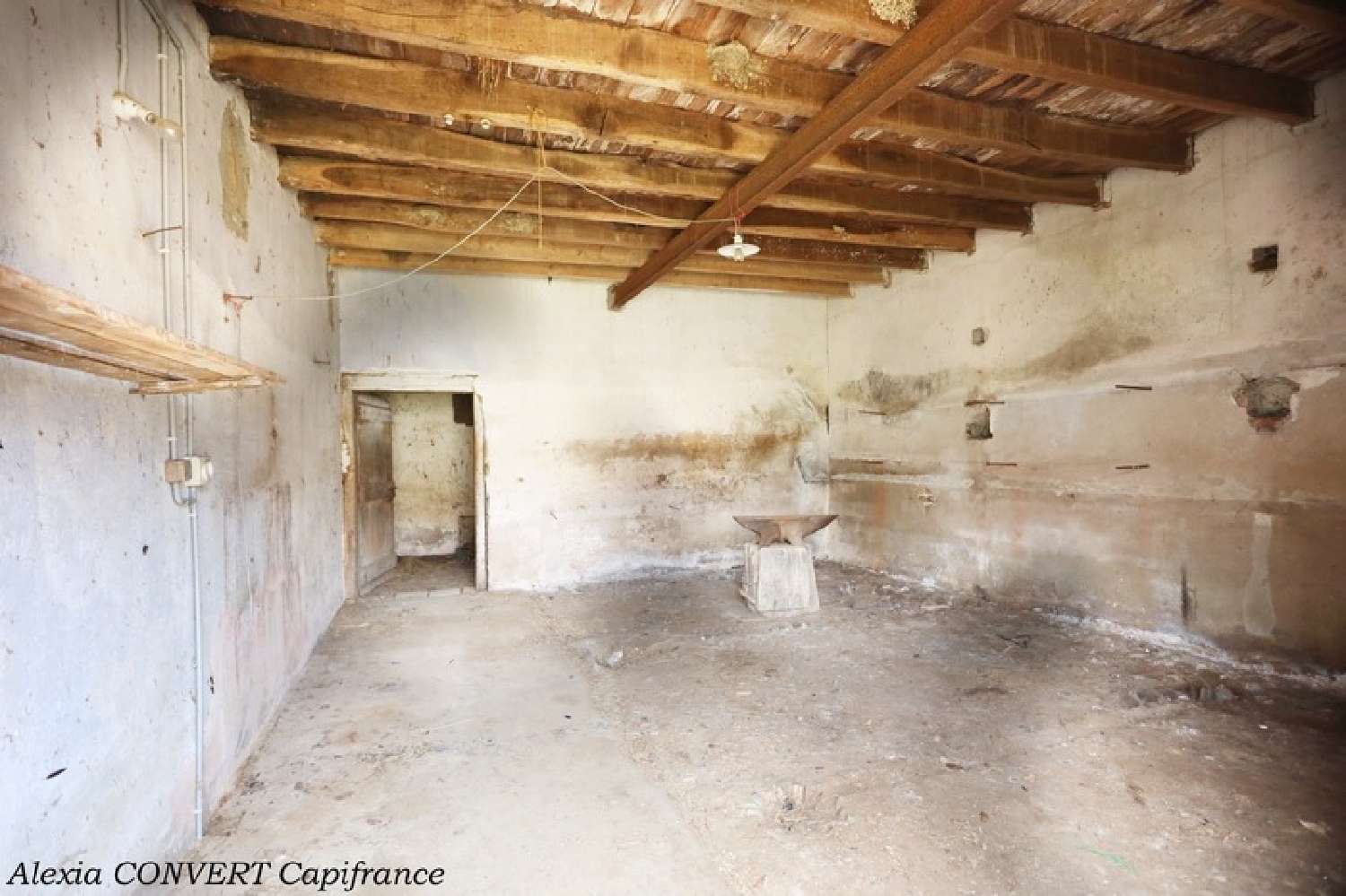  for sale barn Vandeins Ain 7