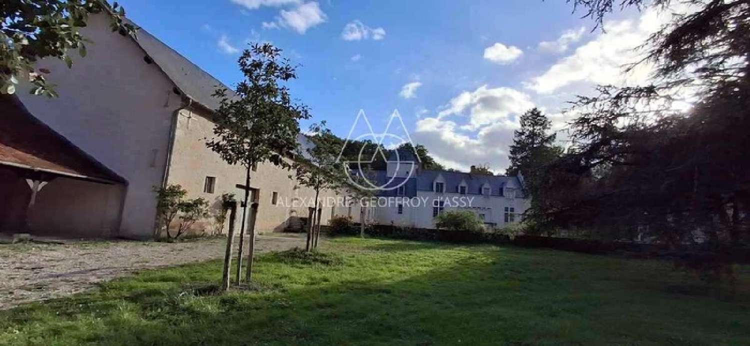  for sale castle Blois Loir-et-Cher 6