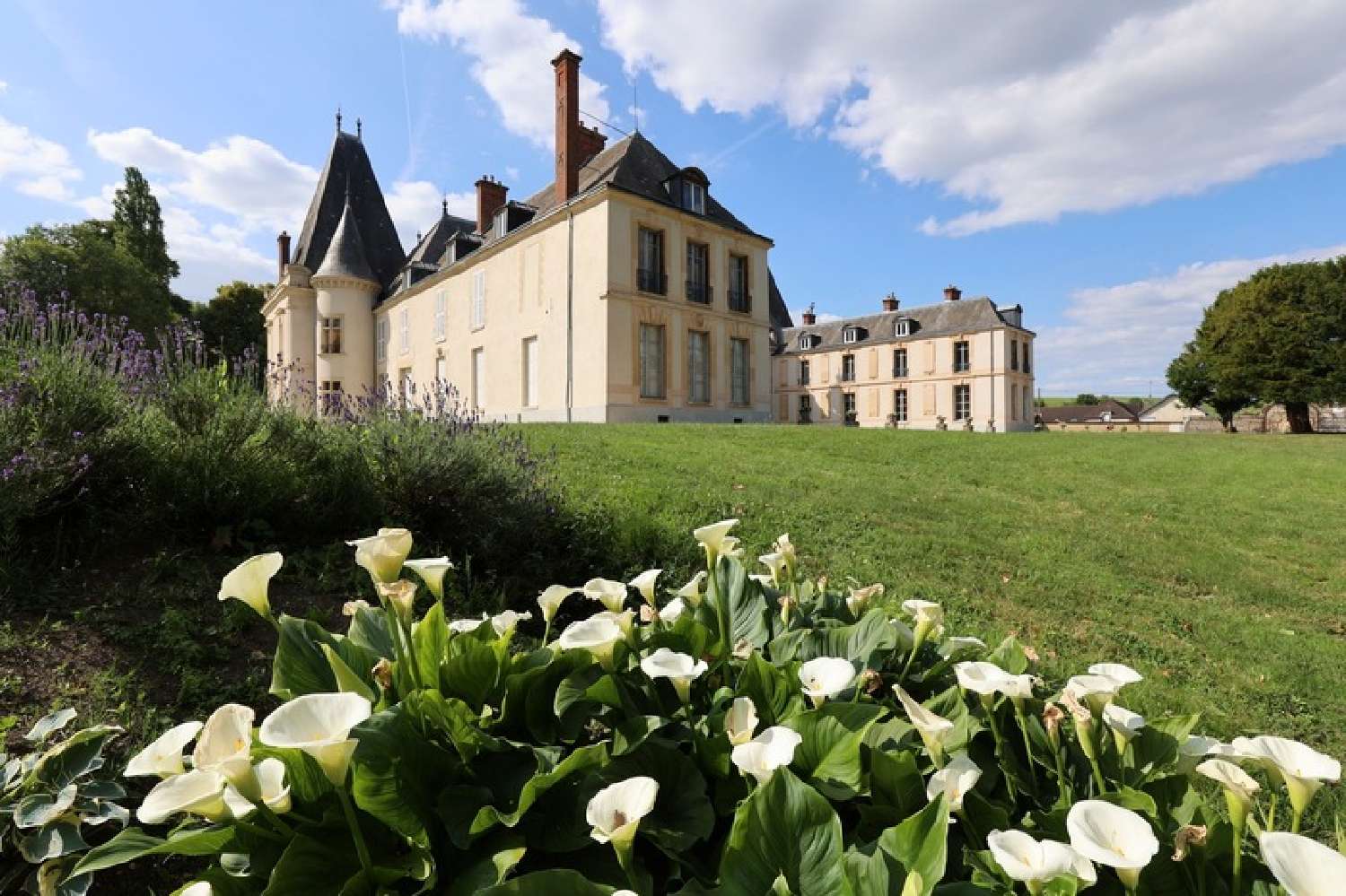  kaufen Schloss Congy Marne 6