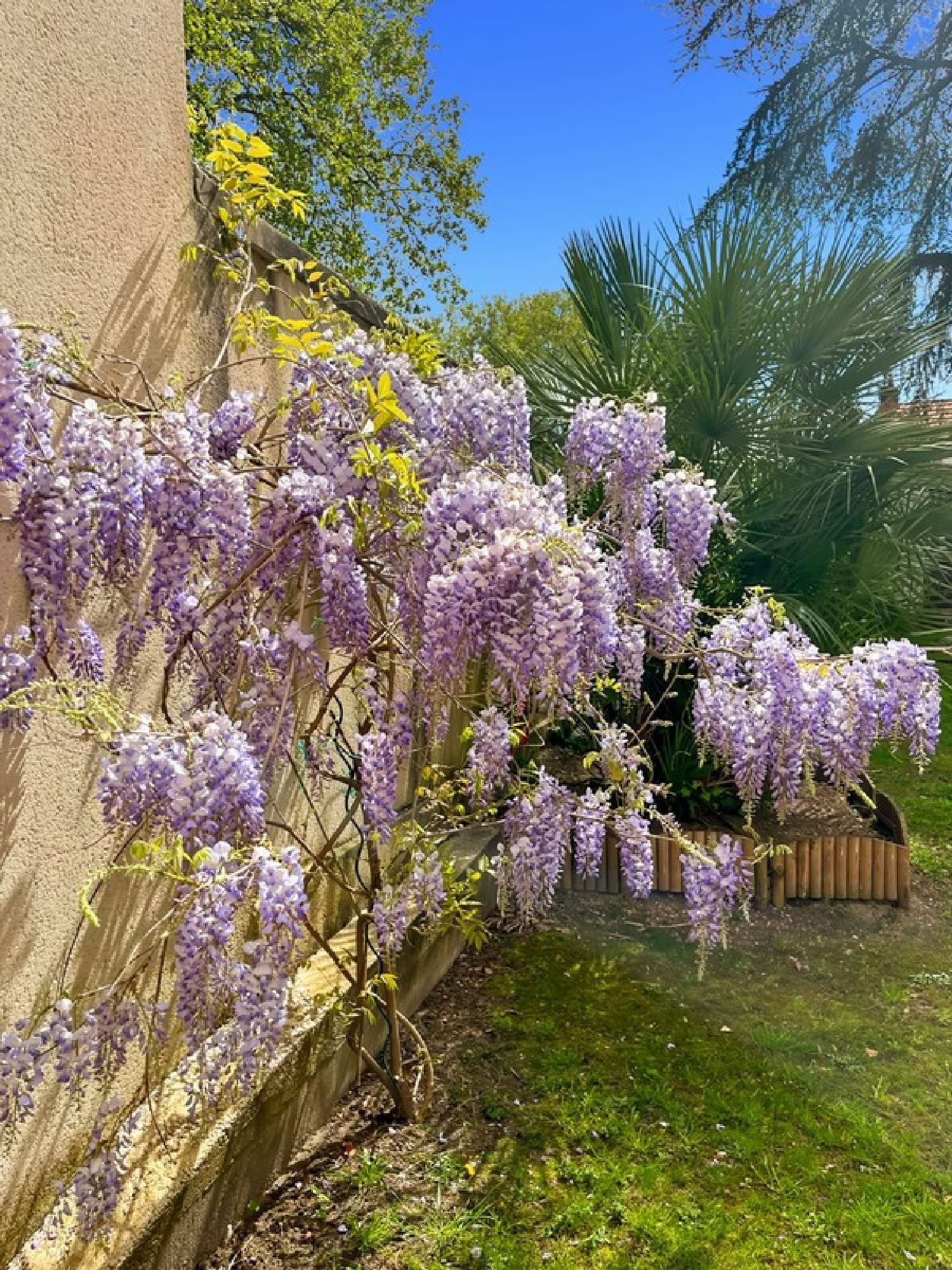 à vendre maison de ville Châtellerault Vienne 8