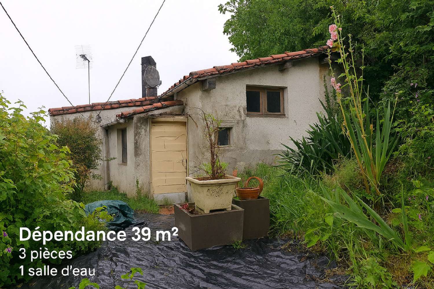  te koop stadshuis Rioux-Martin Charente 1
