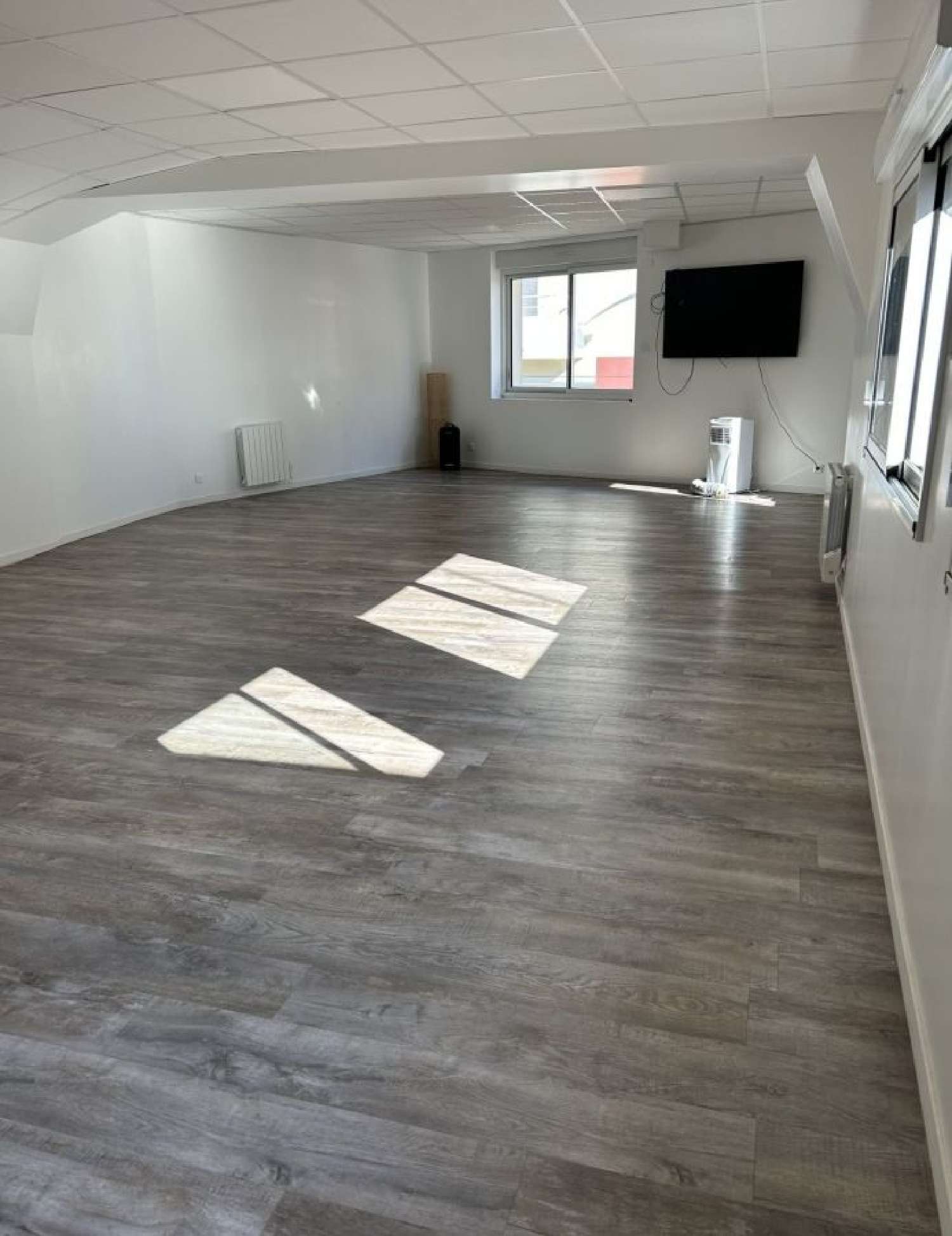  for sale commercial Basse-Goulaine Loire-Atlantique 3