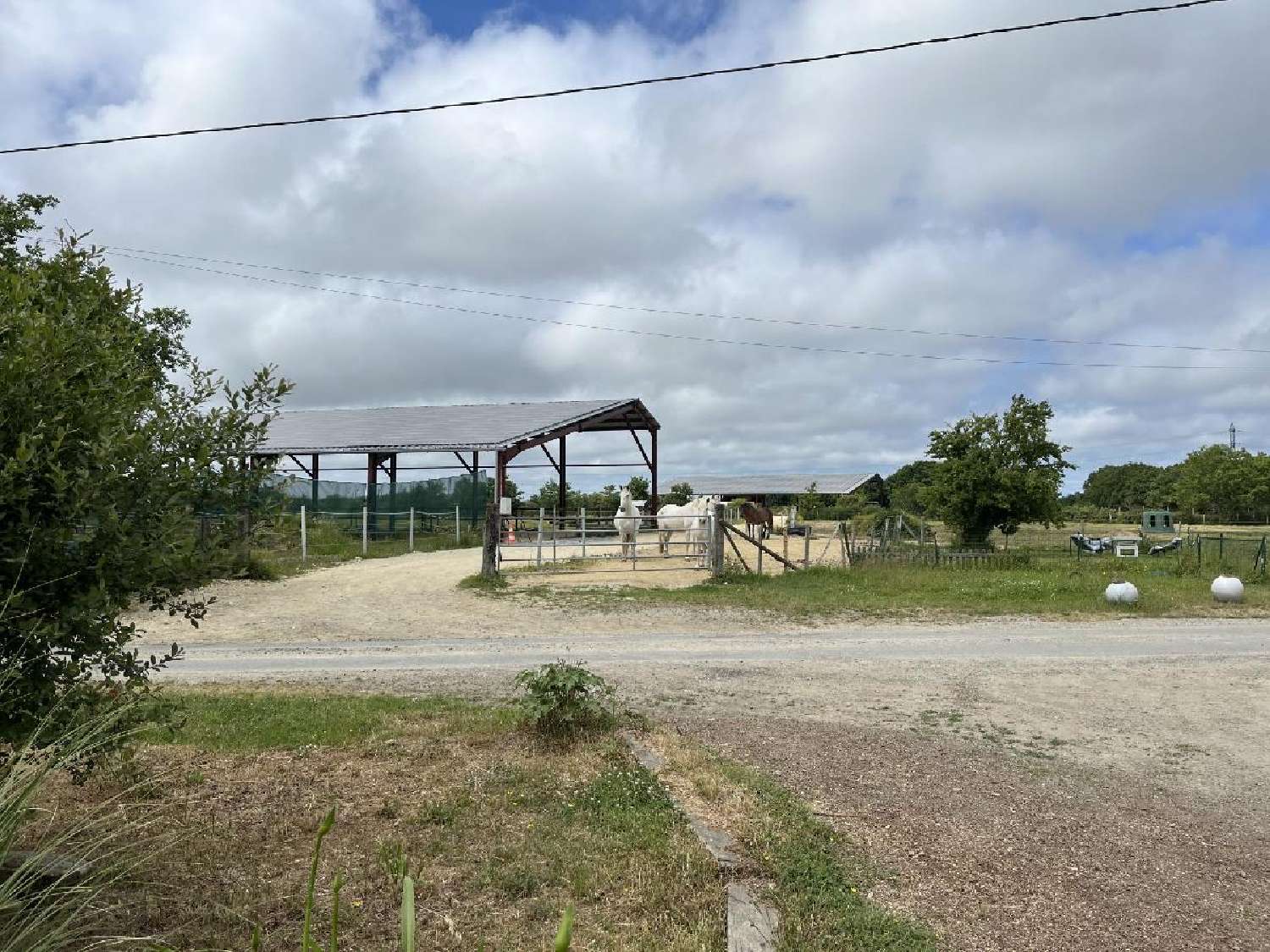  for sale commercial La Chapelle-Launay Loire-Atlantique 5