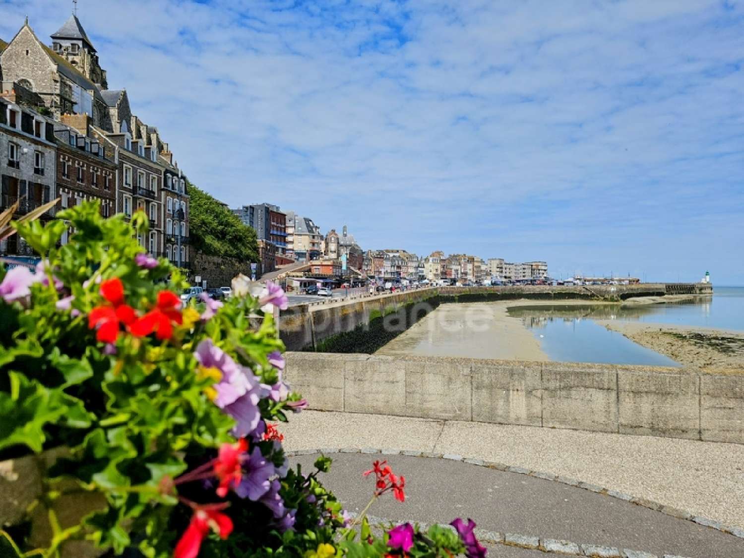  for sale commercial Le Tréport Seine-Maritime 6