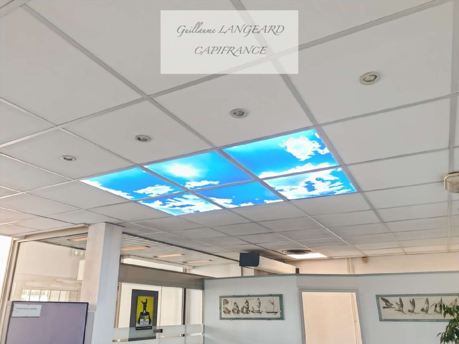  for sale commercial Oyonnax Ain 5