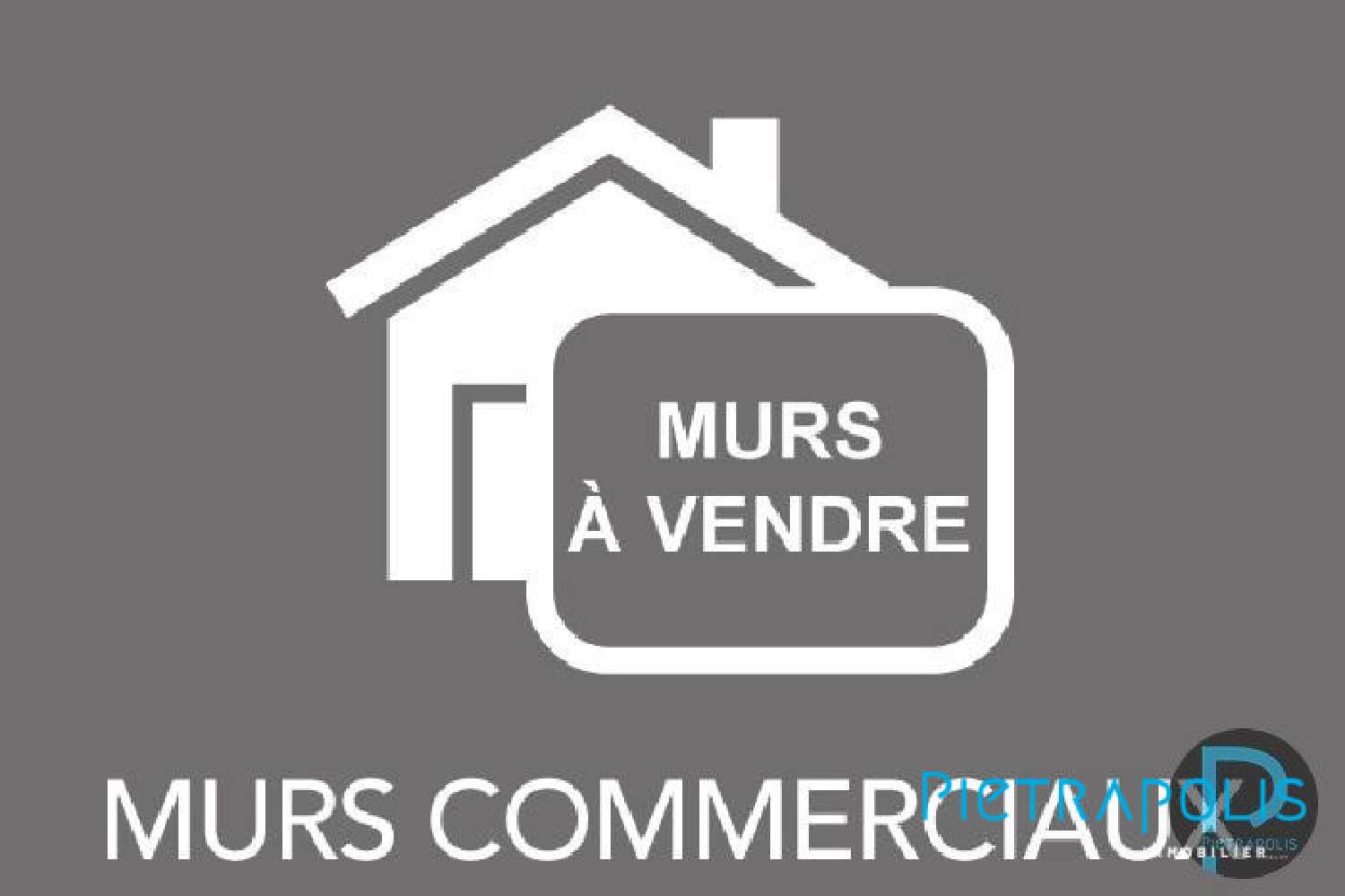 en venta local comercial Saint-Étienne-du-Bois Ain 2