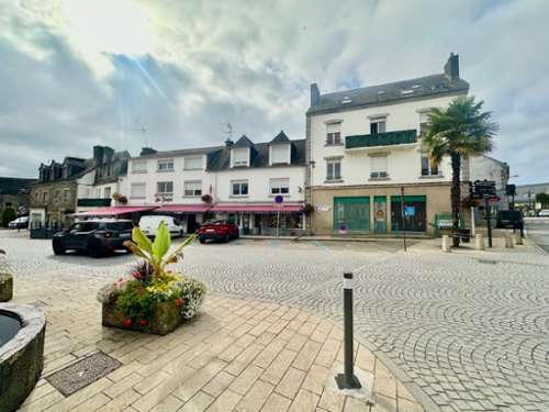 Saint-Thois Finistère bedrijfsruimte/ kantoor foto 7162580