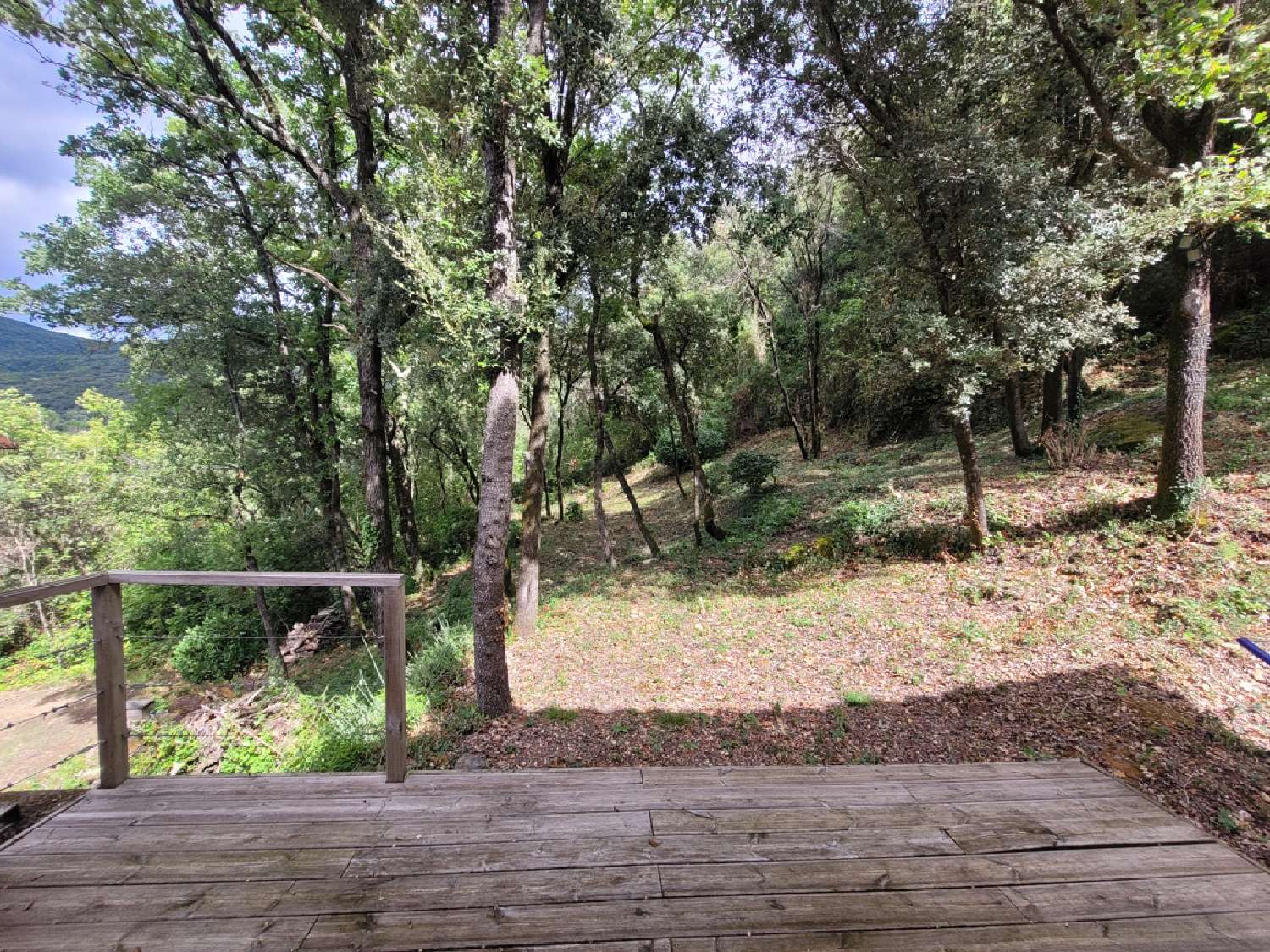  en venta casa independiente Carlencas-et-Levas Hérault 6